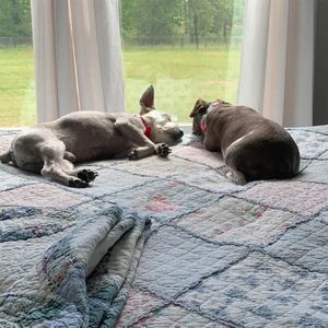 Meet your Posher, Diane